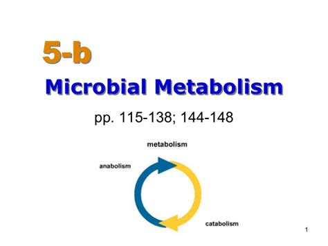 Microbial Metabolism