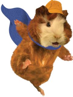 Wonder Jet: Linny the Guinea Pig