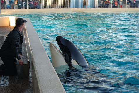 O'Leary Family Journey: Dinner with Shamu