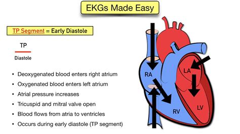 ECG Waveform Explained: EKG Labeled Diagrams And Components, 47% OFF