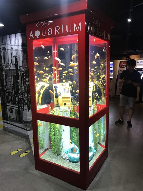 Coex Aquarium was amazing! It was unique and a one of a kind experience! : r/korea