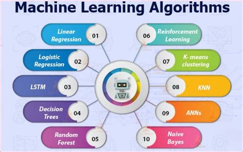 What are Machine Learning Algorithms? - DevTeam.Space