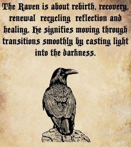 What Is The Symbolic Meaning Of The Raven