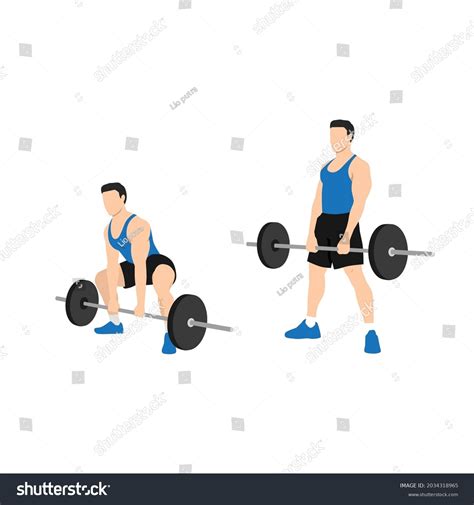 Man Doing Sumo Barbell Deadlifts Exercise Stock Vector (Royalty Free) 2034318965 | Shutterstock