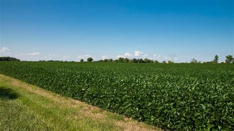 Over 2,000 farmers participating in program to improve Ohio water quality - Ohio Farm Bureau