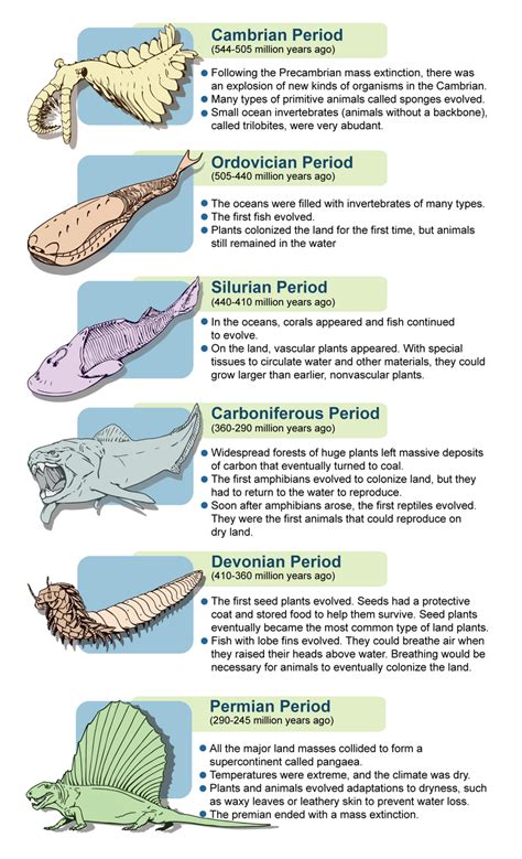 Life During the Paleozoic | CK-12 Foundation | Geologic time | Pinterest | Foundation ...