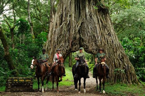 2 days Arusha National Park Safari Tour | Arusha City Tours