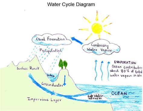 Water Cycle Project Ideas | Project ideas, Projects and Water cycle project