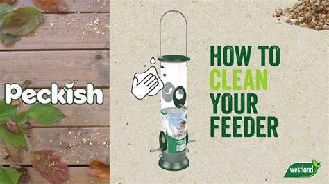 How To Keep Your Bird Feeders Clean - YouTube