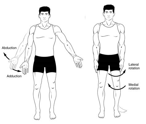 Anatomical Terms of Movement - Flexion - Rotation - TeachMeAnatomy