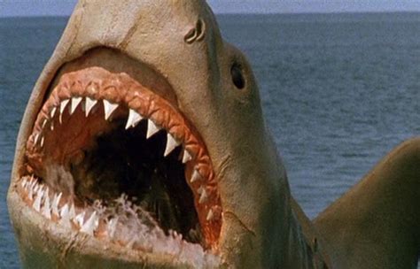 Heroes and Monsters: The Great White Shark from Jaws: The Revenge