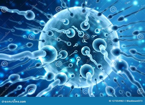 3d Human Sperm and Egg Cell in Medical Background Stock Illustration - Illustration of fertility ...