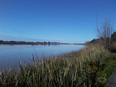 The Northern Wairoa River with Tokatoka | Wonders of the world, Natural ...