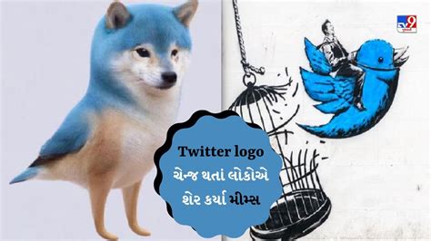 Memes Viral : Twitter logo ની લોકોએ મજાક ઉડાવી, જોરદાર મીમ્સ કરી રહ્યા ...