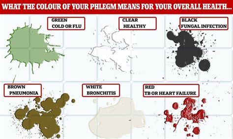 what does the color of phlegm mean - what does the color of phlegm mean ...