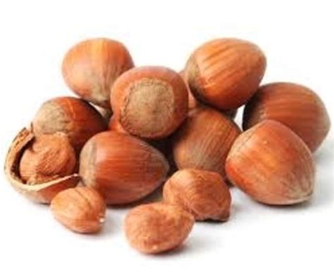 hazelnuts in shell - NUTSANDSPICES