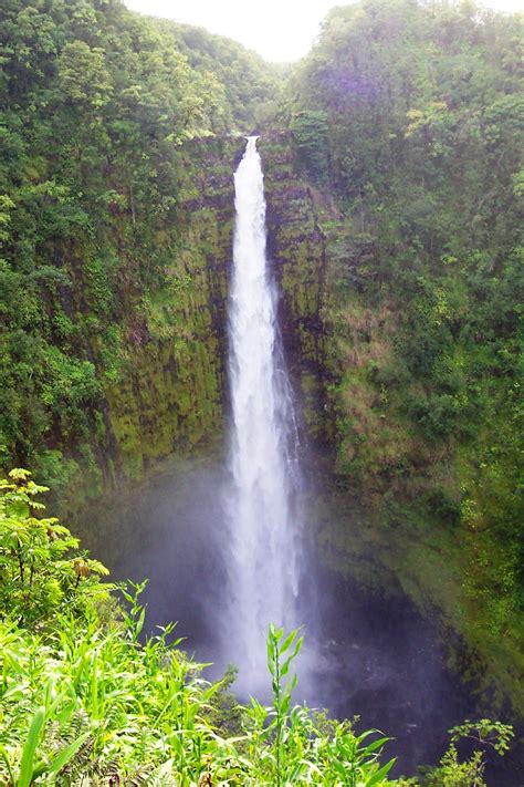 akaka falls, big island, Hawaii | Big island, Big island hawaii, Waterfall