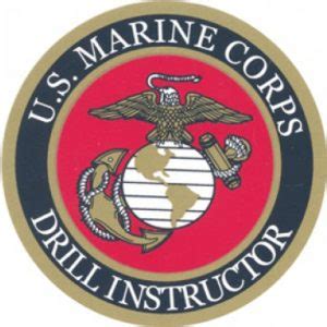 An Overview of the US Marine Corps’ Drill Instructor - Boot Camp ...