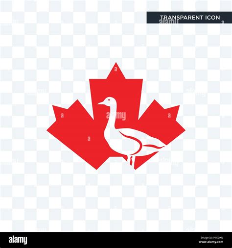 canada goose vector icon isolated on transparent background, canada goose logo concept Stock ...