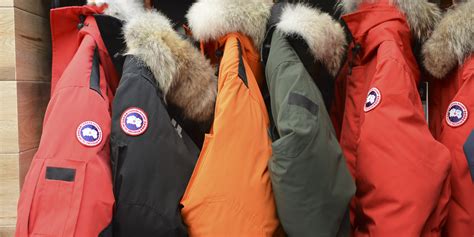 new canada goose store kohl's