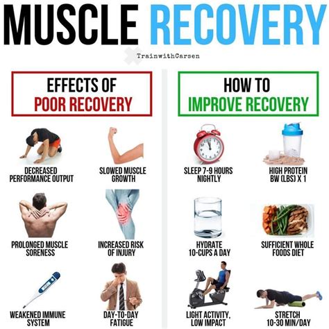 Muscle Recovery by @trainwithcarsen x @deskboundtherapy⁣ ⁣ 💥Download FREE Workouts by following ...