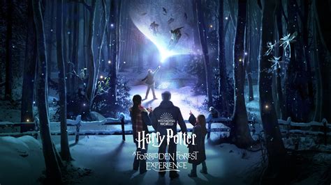 Walk Through the Forbidden Forest at the New Harry Potter Experience