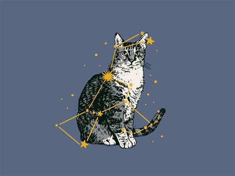 Orion Constellation Cat by Adam Johnson on Dribbble