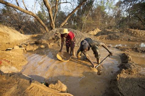 Artisanal Miners Ruining Already Diminishing Forests in Zimbabwe — Global Issues