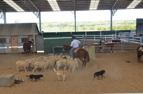 Longreach Qld. Stockman's Hall Of Fame Live Show With Lach… | Flickr