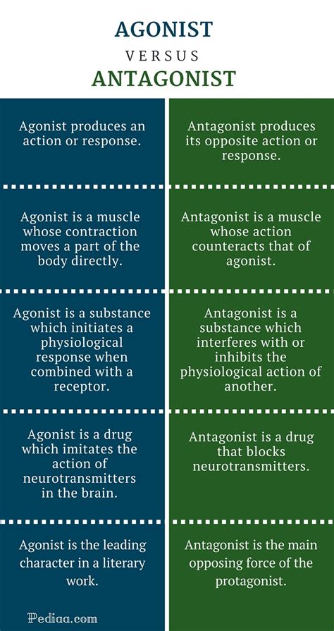 Difference Between Agonist and Antagonist