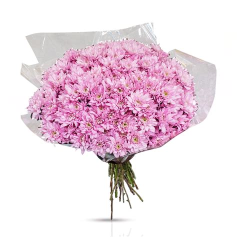 Monochrome Spray mums- Pink bouquet - Flower Bliss