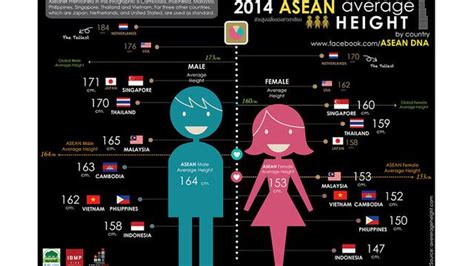 Berat Badan Ideal Tinggi 165 Pria - Foto Modis