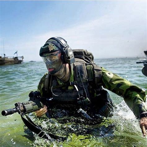 Swedish Marines landing on Ravlunda during BALTOPS 15. Photo by Swedish ...