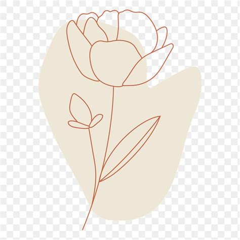 Download premium png of Flower line art transparent png by katie about ...