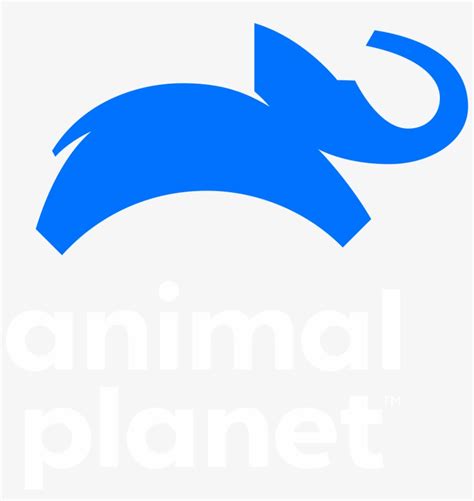 Bindi & The Otters - New Animal Planet Logo Transparent PNG - 2269x2293 - Free Download on NicePNG