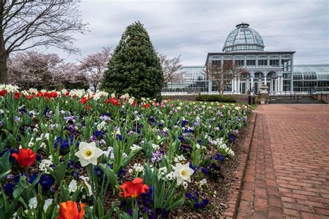 Lewis Ginter Botanical Garden celebrates blooms and butterflies