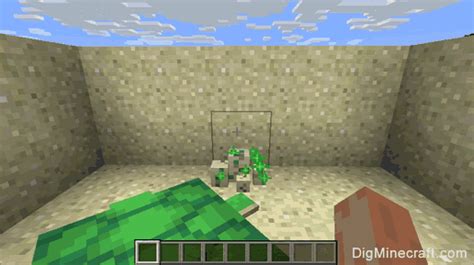 How to Hatch Turtle Eggs in Minecraft