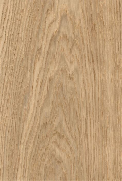 European Oak- Wood Veneer