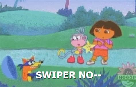 Swiper No Swiping Gif