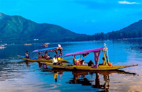 Dal Lake Shikara Ride: A Serene Srinagar Experience