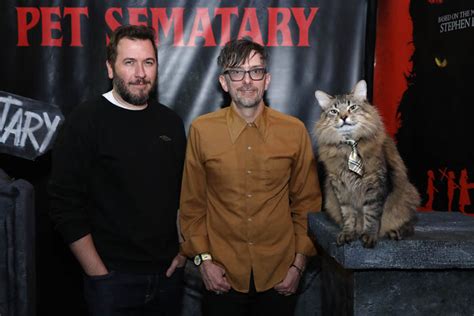 Pet Sematary Cat Played By 8 "Diva" Cats, Director Says – /Film