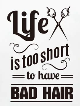 The best 25 hair quotes for your marketing & displays