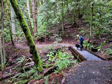 Poo Poo Point - Chirico Trail, Poo Poo Point — Washington Trails Association