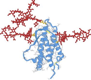 BIOL4550JJ: Erythropoietin - Structure