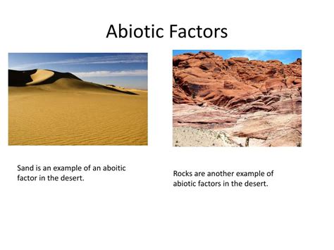 PPT - Desert PowerPoint Presentation, free download - ID:2636957