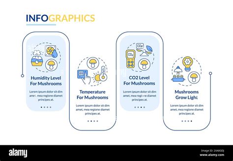 Mushroom growing conditions blue rectangle infographic template Stock Vector Image & Art - Alamy