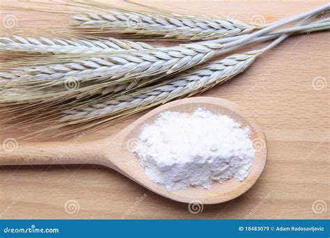 Wheat and flour stock image. Image of harvest, white - 18483079