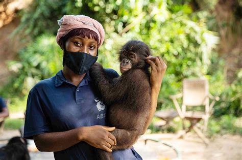 Lola ya Bonobo | Attraction : Parc Animalier | Kinshasa Maps