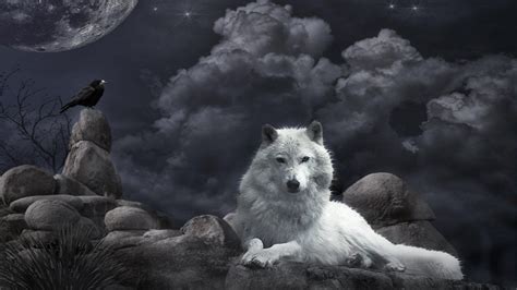 White Wolf Anime Wallpaper : Pin By Luana On Off White Anime Wolf Anime Wallpaper Wolf Pictures ...