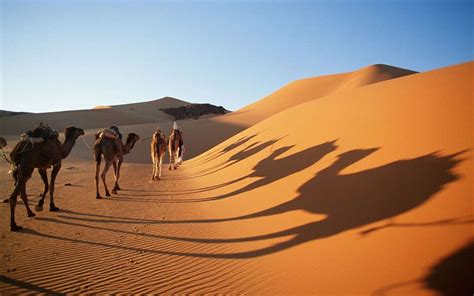 Ten Reasons To Visit The Sahara Desert